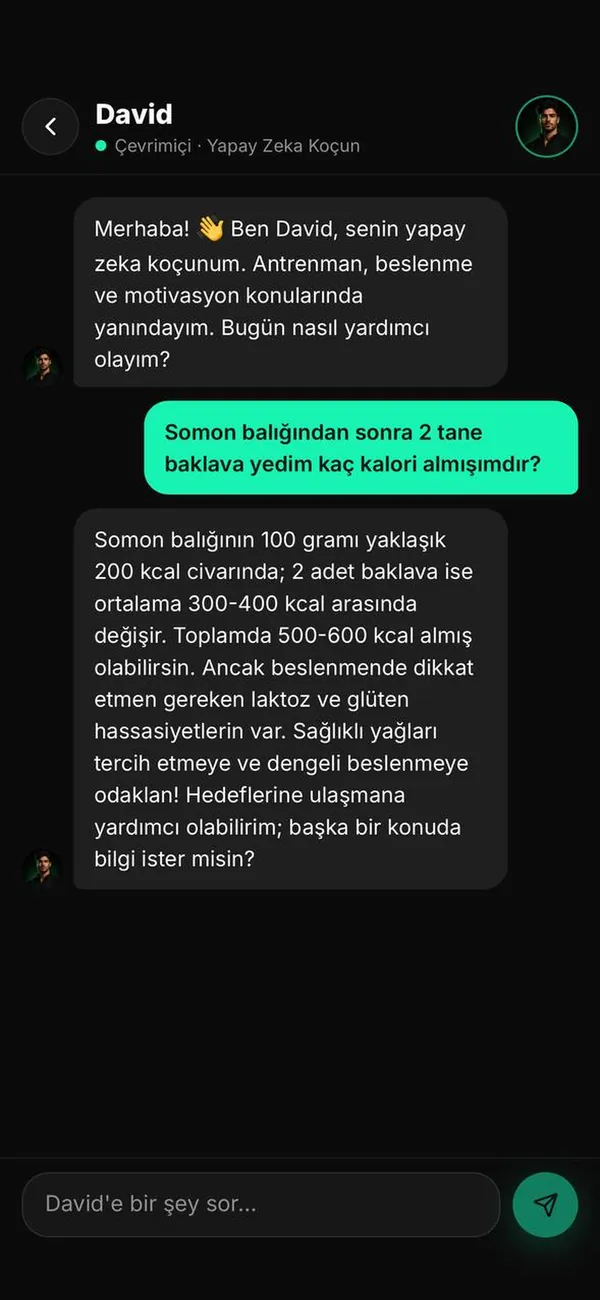 JoVVo — David — yapay zekâ koçu