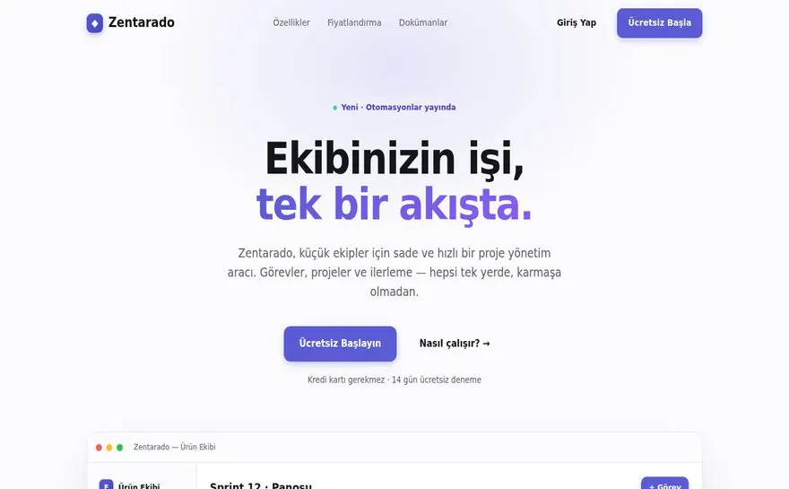 Zentarado — Konsept çalışma